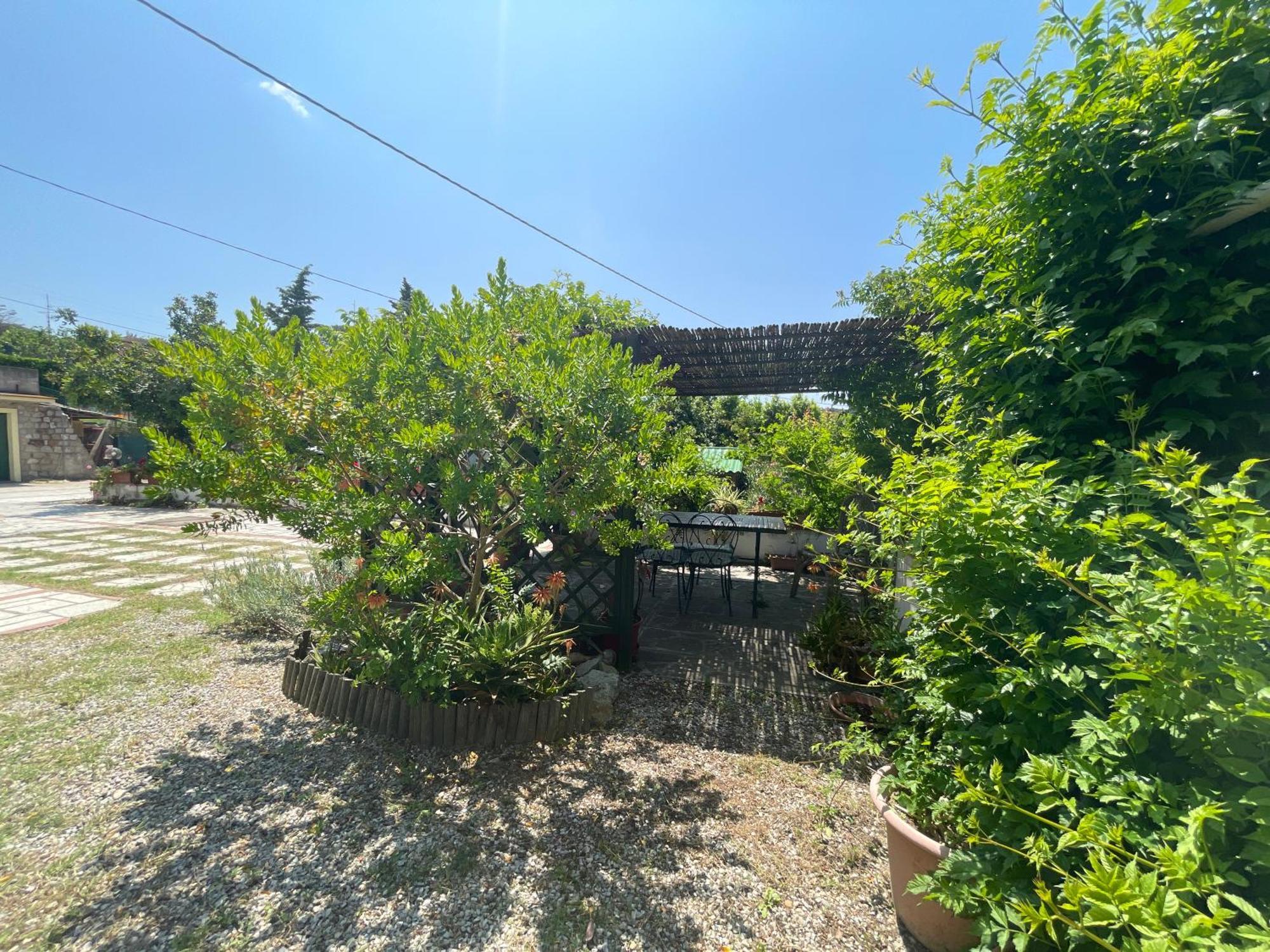 Casa Cirilla - Argonautivacanze Procchio  Exterior photo